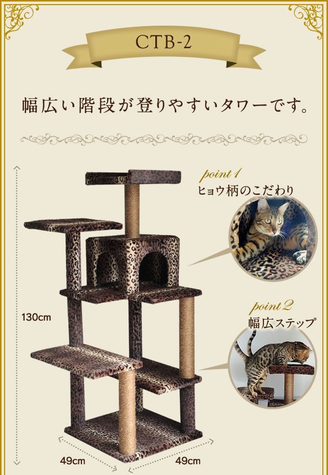COPY CAT】 人気のコピーキャットの半袖スウェット、Tシャツが