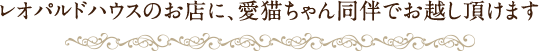 レオパルドハウスのお店に、愛猫ちゃん同伴でお越し頂けます