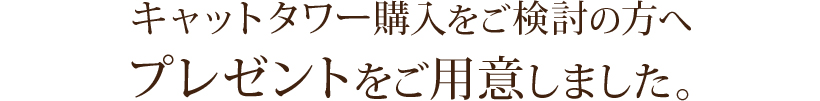 キャットタワー購入をご検討の方へ プレゼント、割引の特典をご用意しました。