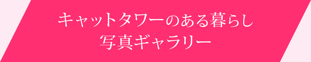 キャットタワーのある暮らし写真ギャラリー