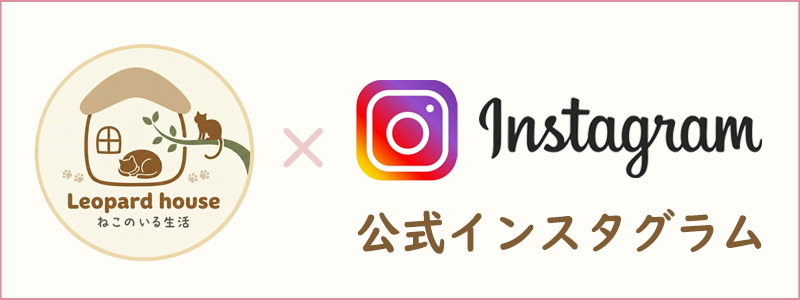 公式インスタグラム